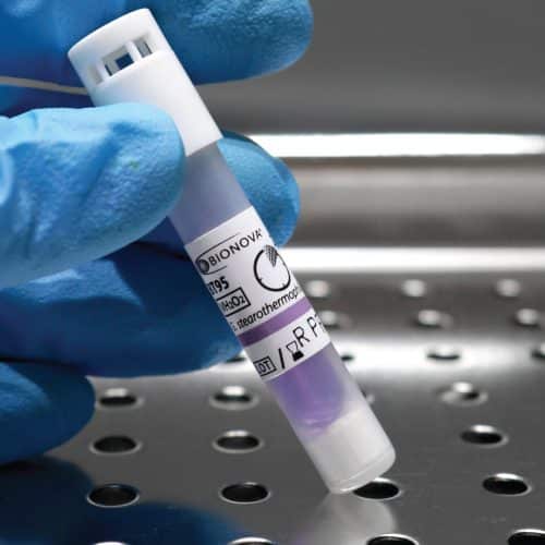 Why Use Biological Indicators? Sychem